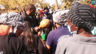 iwe neni toenda kumusha glen forest
