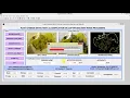 Plant Disease Detection Classification Using Image Processing Matlab Project Code