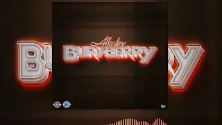 alkaline buryberry official audio