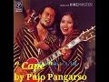 Lagu Rhoma Irama \u0026 Rita Sugiarto _ Cape ( OM Soneta Vol 8 Hak Azazi 1978 )