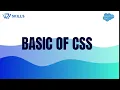 Basics of CSS Beginner s Guide to Styling Websites Peoplewoo Skills