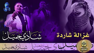 الفنان شادي جميل   موال غزالة شاردة دندنها