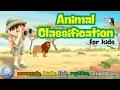 Animal Classification for Kids Animal Groups Flashcards