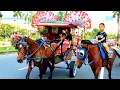Download Lagu Naik delman istimewa~lagu anak populer Indonesia~lagu anak balita~delman kuda.