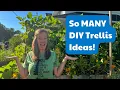 8 Easy DIY Trellis Ideas From Other Gardeners