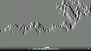 2ND DAY CAPTURE ARE They Really There 