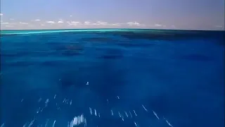ركعة القنوت مع الدعاء بصوت القارئ الشيخ اسامة جبر دندنها