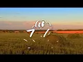 Lewis Capaldi - Survive (Lyrics)