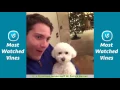 Quincy - All Vines Compilation 2017 Updated
