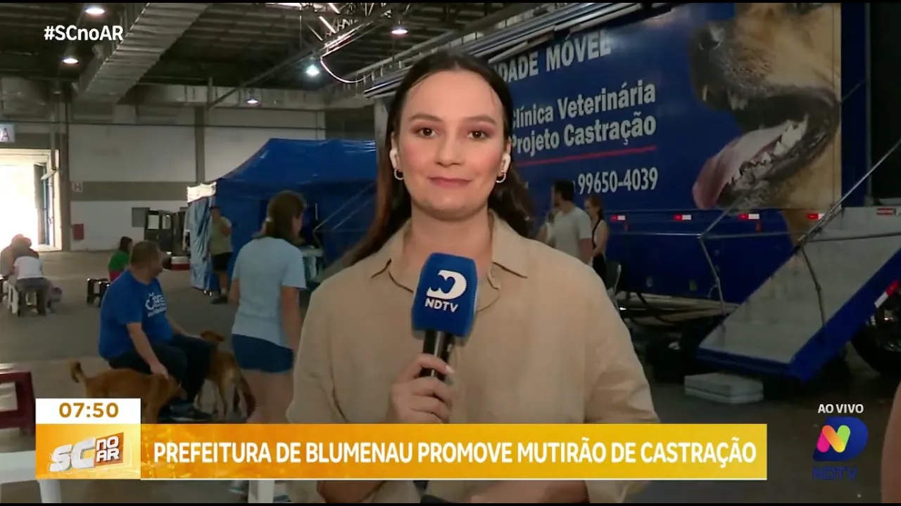Mutirão de castração em Blumenau: ação gratuita na Vila Germânica