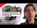 What s Going on With Cannabis Dispensaries in Australia Australia Today Ep 7