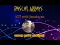 Pascal arrays