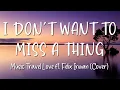 Download Lagu I Don't Want To Miss A Thing - Music Travel Love ft. Felix Irwan (Cover) Lirik Lagu Lyrics Video