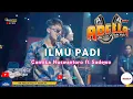 Download Lagu ILMU PADI - SADEWO FT CANTIKA NUSWANTORO - OM ADELLA LIVE PEKALONGAN 