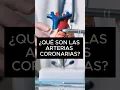 Download Lagu Qué son las arterias coronarias y el infarto?