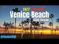 Venice Beach LIVE CAM Sunset Surf Vibes Boardwalk Plaza Ocean View 4K