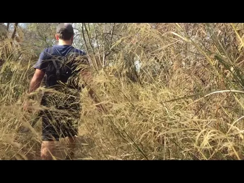 Eagle Rock Hike in Topanga - YouTube thumbnail