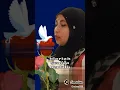 Download Lagu bunga kan mekar