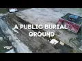 New York s public burial ground becomes a way-stop between the morgue and cemetery