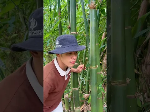 Survival Skills: How to Get Water from a BAMBOO Tree 💧🌍#ohd #survival #camping #bushcraft #skills