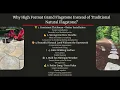 Why High Format Grand Flagstone Instead of Traditional Natural Flagstone