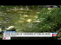 Highland County teens accused of throwing kittens into creek