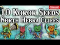 10 Korok Seeds North Hebra Korok Seeds QUICK Zelda Tears of the Kingdom