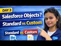 Salesforce Objects Explained Standard vs Custom Objects Day 3 Beginner Guide Preeti jain