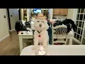 Celebrating Quincy s Birt ay