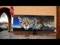 520 Tucson Arizona