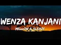 Download Lagu Mellow \u0026 Sleazy - Wenza Kanjani (Lyrics)