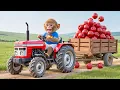 Lagu 🐒🚜Monkey CoCo Drives Tractor to Harvest Apples\u0026 Catch a Sneaky Thief on the Farm!🍎| COCO MONKEY LIFE