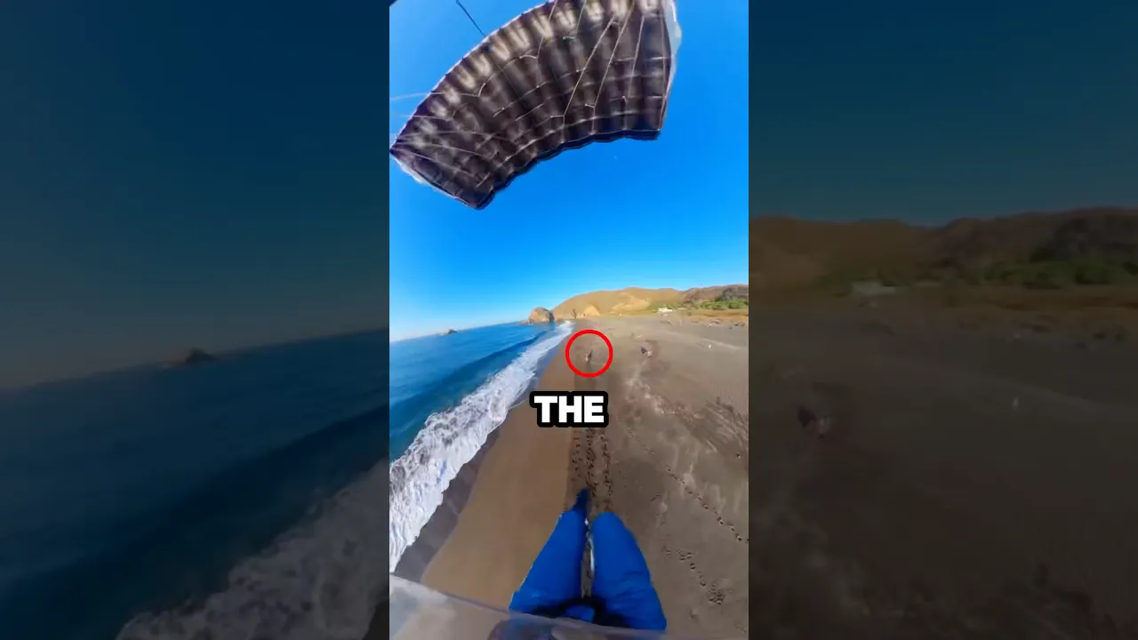 Skydiving on a Horse