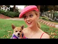 Download Lagu Legally Blonde (2001) |  Elle Introduces Herself (Scene) | MGM Studios