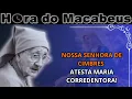 Lagu ANA LIGIA DA APARIÇÃO DE CIMBRES: \