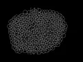 Poisson Disc Sampling 2