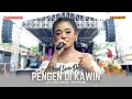 PENGEN DI KAWIN | VOC. MISEL LAURA D  ORKES DANGDUT ZAMAN NOW \