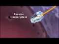 Lagu HIV Life Cycle | HHMI BioInteractive Video