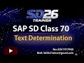 SAP SD Class 70 Text Determination SD26 Trainer YouTube Channel
