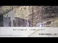 ✡もうひとつの土曜日／浜田省吾　≪歌詞≫ 　（1986年）