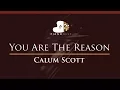 Download Lagu Calum Scott - You Are The Reason - HIGHER Key (Piano Karaoke / Sing Along)