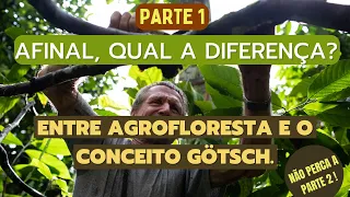 Afinal, qual a diferença entre agrofloresta e o conceito Götsch ? PARTE 1
