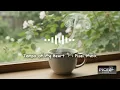 Tempo of My Heart - Picel Music (Coffee Jazz Music - Calm & Relax Music)