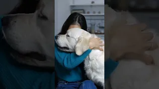 لهذا السبب الكلاب اوفي من البشر 