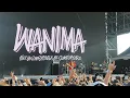WANIMA Signal ワニマ シグナル 2025 Live in KOREA BUSAN INTERNATIONAL ROCK FESTIVAL 2025 와니마 시그널 부산 국제록페스티발 