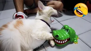 Hilarious animals will make you laugh to die 😂
