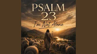 psalm 23 im not alone