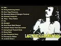 Lagu Iwan Fals Full Album NostalgiaTerpopuler -Nak Siang Seberang IstanaBongkar -Ibu