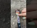 Surprise Scavenger Hunt Challenge Who will find
