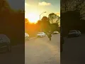 Jolly ahh riding